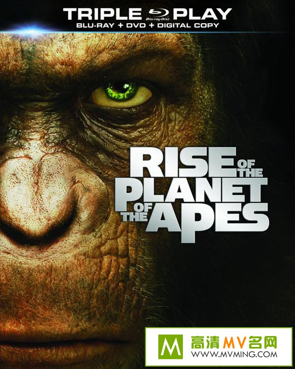 ŷ����Ӱ����[������ʧЧ]-��������.��Ч��Ӣ��Ļ.2011.BD1080P.X264.AAC.mp4��Ӱ����(1)