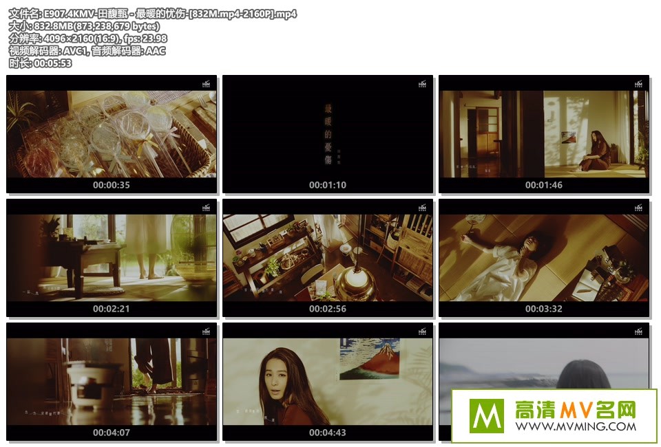 4K-MV- - ů[4K/2160P/MP4/BD](2)
